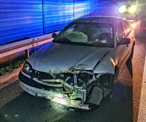 Dziki doprowadziły do karambolu na A4