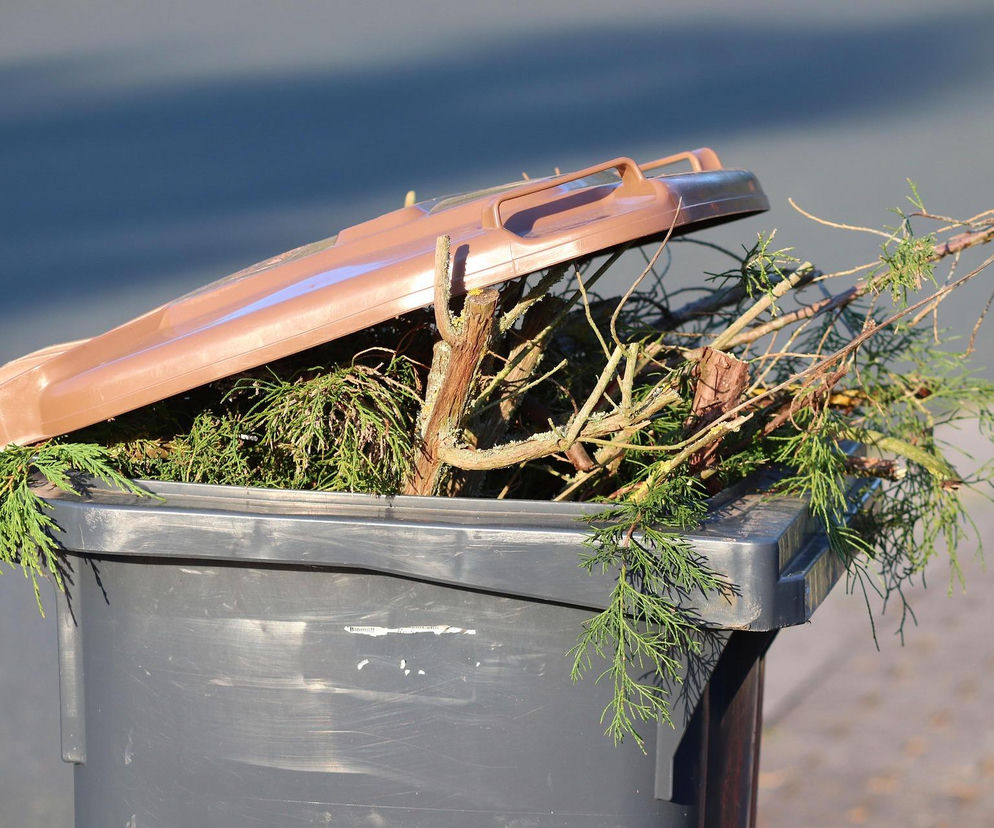 Mieszkańcy Łomży zapłacą więcej za śmieci? Znamy wyniki pierwszych kontroli wiat śmietnikowych