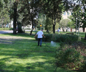 Królewskie pożegnanie Piotra