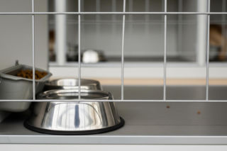 Schronisko w Nowym Targu pod lupą. Czy zwierzętom działa się krzywda?