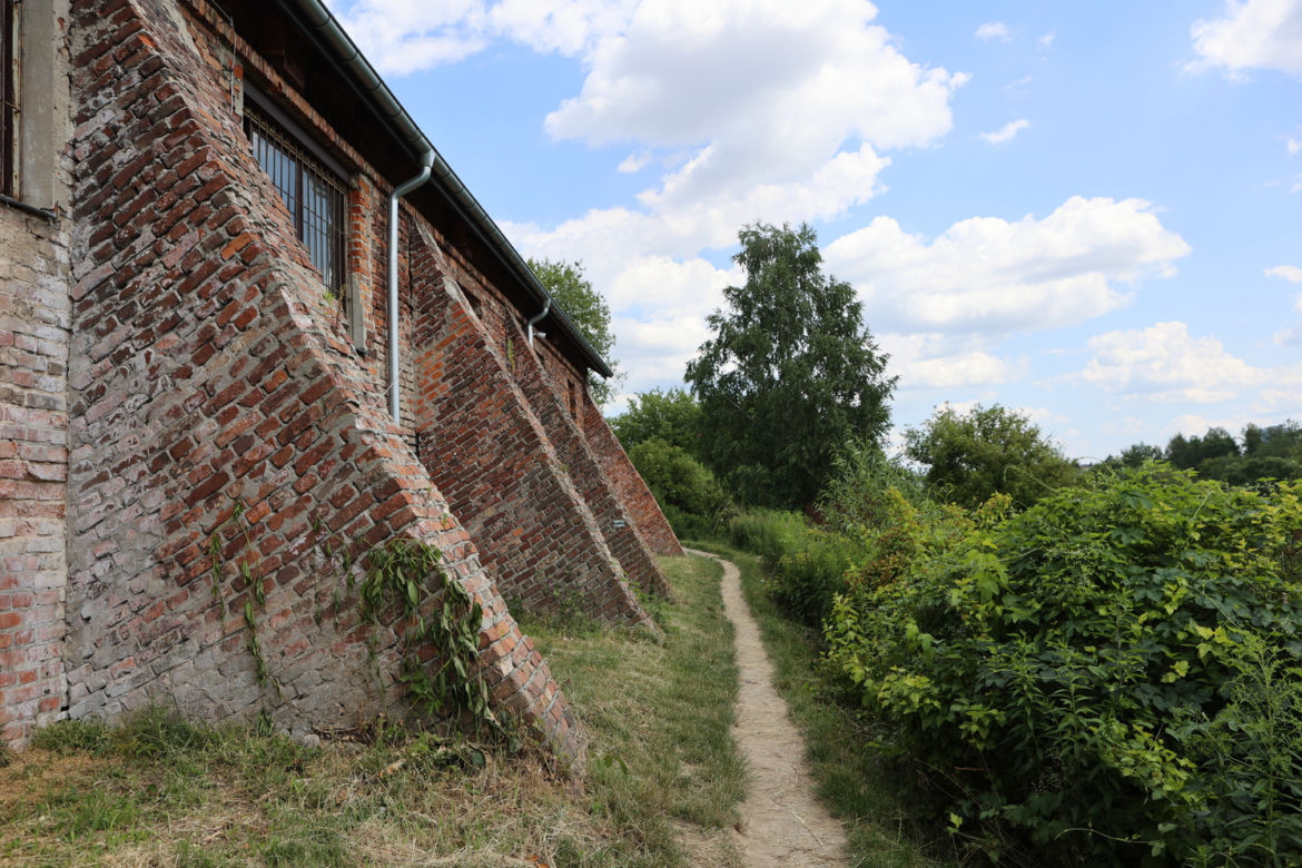 Skansen w Lublinie zachwyca w słoneczny letni dzień!
