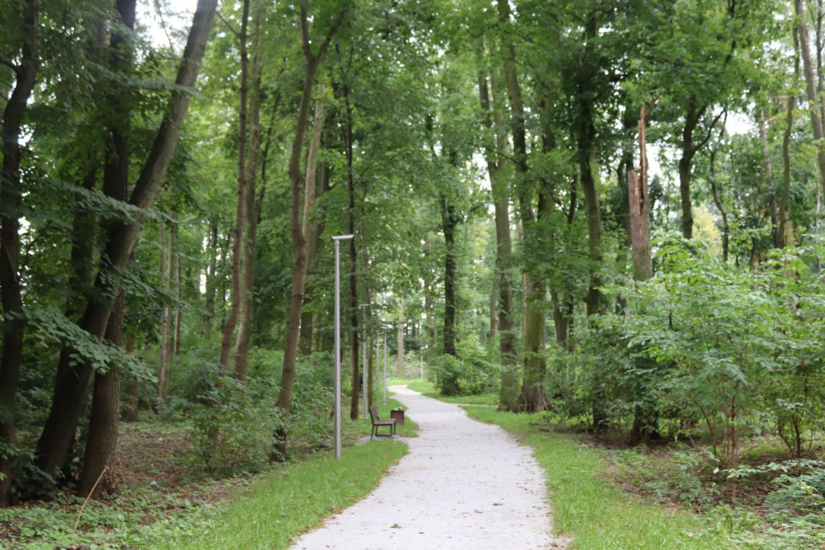 Zabytkowy park pod Lubawą zmienił się nie do poznania. Teraz wygląda jak z bajki