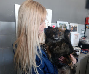 Gehenna zwierząt trwała latami! Prawie sto psów zostało wyrwanych z piekła