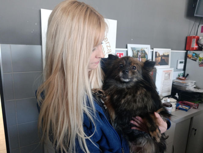 Gehenna zwierząt trwała latami! Prawie sto psów zostało wyrwanych z piekła