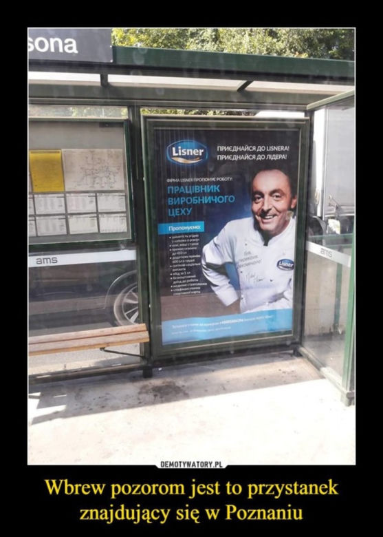 Tak internet się śmieje się z Poznania! Zobacz najlepsze MEMY!