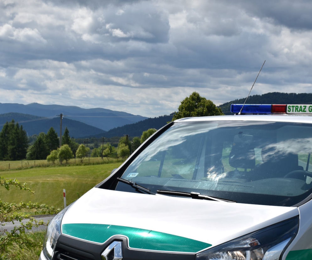 Kolejne zatrzymania imigrantów w Bieszczadach. Chcieli dostać się do Europy Zachodniej!