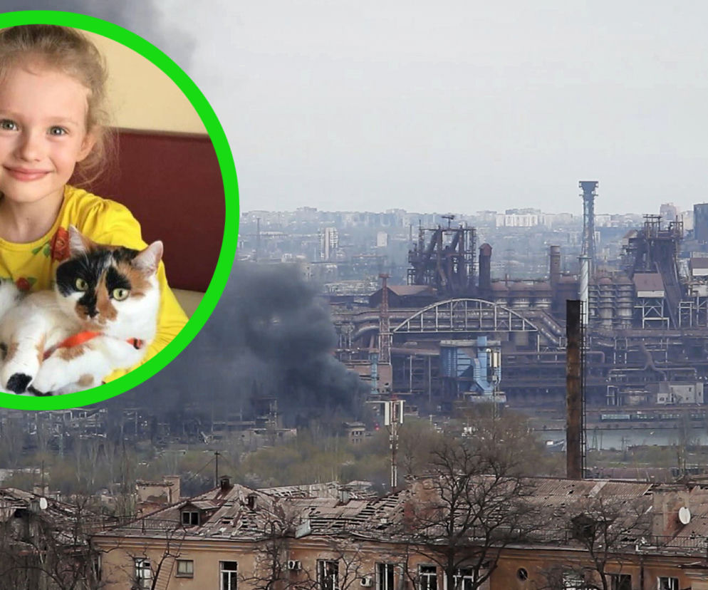 Wojna na Ukrainie. Azovstal. Ewakuowana Kristina i jej kot z Mariupola