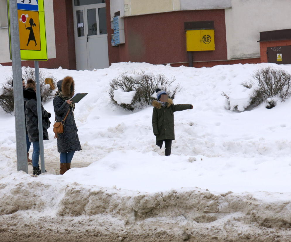 Próba porwania dziecka na Leśnej Dolinie. Policyjna wizja lokalna