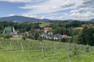 To jedna z najpiękniejszych małopolskich wsi. Kiedyś należała do dwóch zakonów