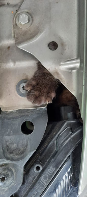 Łódź: pojechał umyć auto, okazało się, że trzeba je rozebrać. Liczyła się każda minuta!