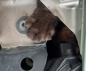 Łódź: pojechał umyć auto, okazało się, że trzeba je rozebrać. Liczyła się każda minuta!