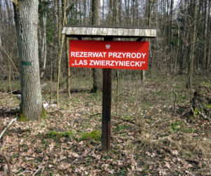 Las Zwierzyniecki