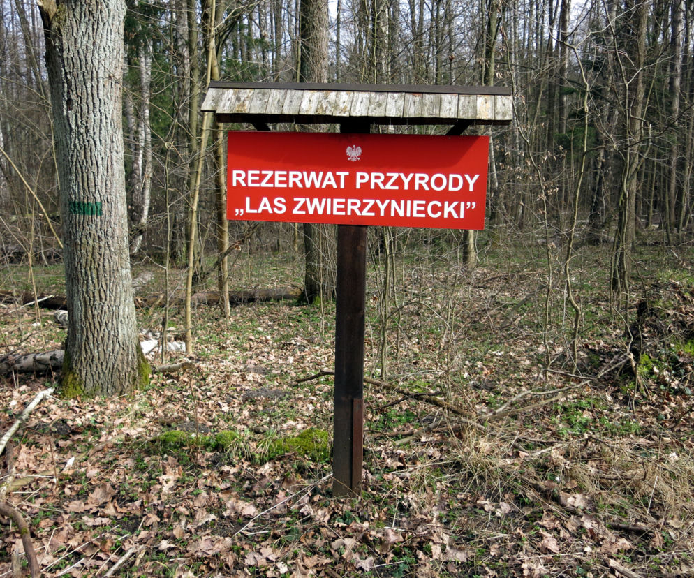 Las Zwierzyniecki