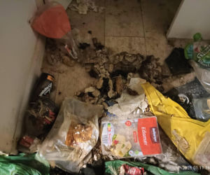 Interwencja inspektorów TOZ z Katowic w Sosnowcu