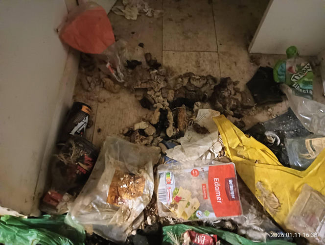 Interwencja inspektorów TOZ z Katowic w Sosnowcu