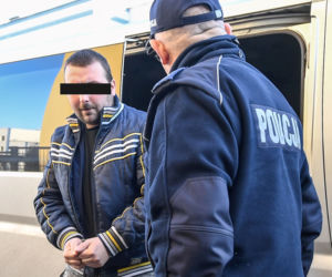 SKATOWANY FIJO KAT DOPROWADZENIE