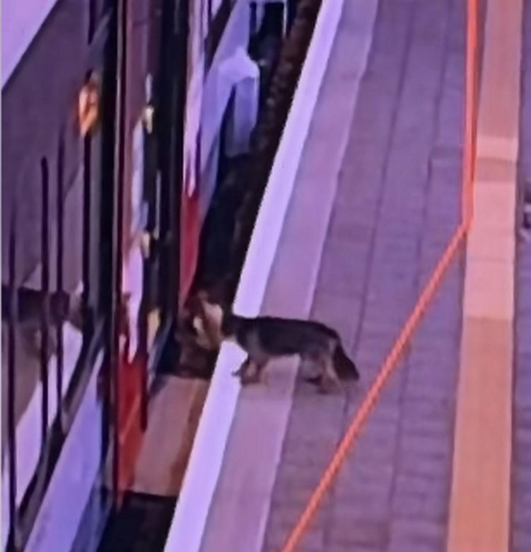 Sam wsiadł do pociągu i pojechał na gapę. Przechadzał się po wagonie i odwiedzał pasażerów