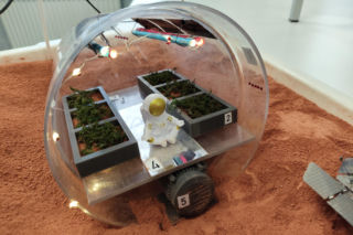 Chcą uprawiać ogród na Marsie. Studenci Politechniki Lubelskiej pracują nad rozwiązaniem, które to umożliwi