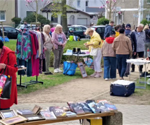 Pchli targ na Pogodnie