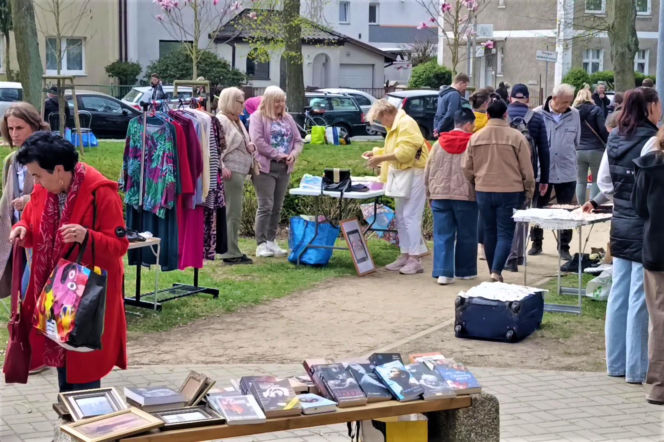 Pchli targ na Pogodnie