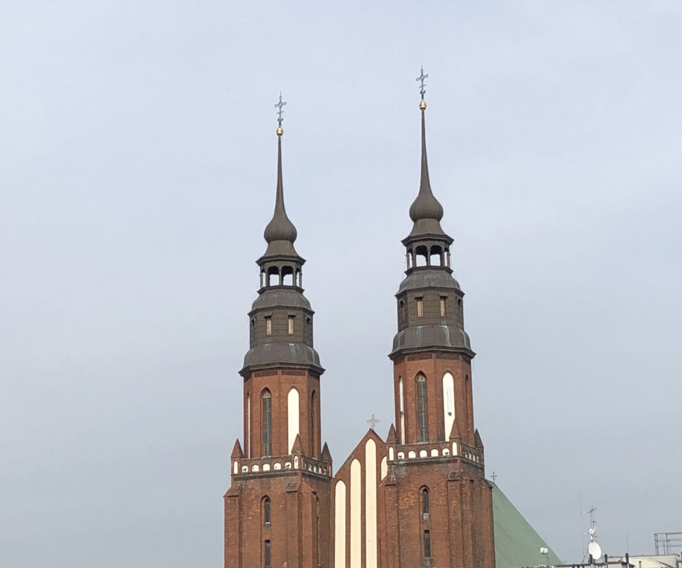 Opolska katedra