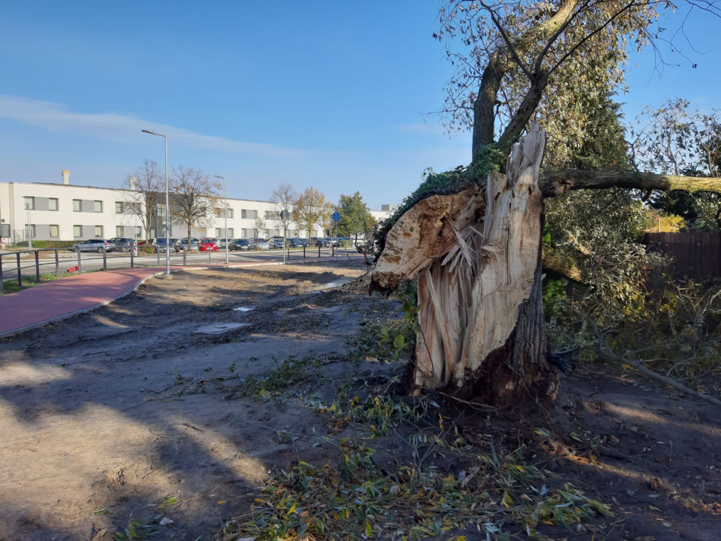 Strażacy (i piły) na pełnych obrotach