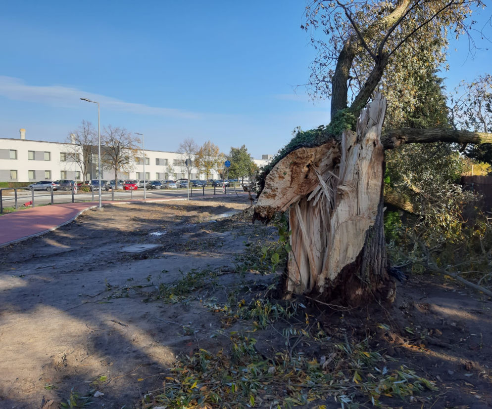 Strażacy (i piły) na pełnych obrotach