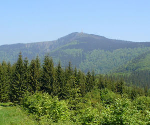 Łysa Góra