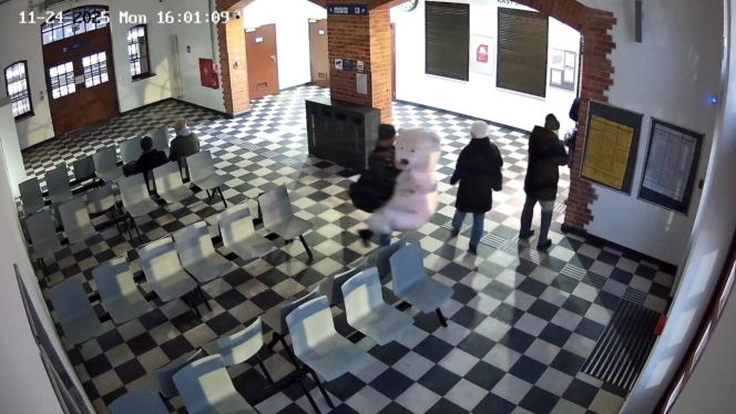 Kradzież pluszowego misia w Szczecinku