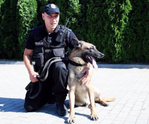 Szkolenie psów policyjnych w Bielsku Podlaskim. Zobacz, jak przebiega