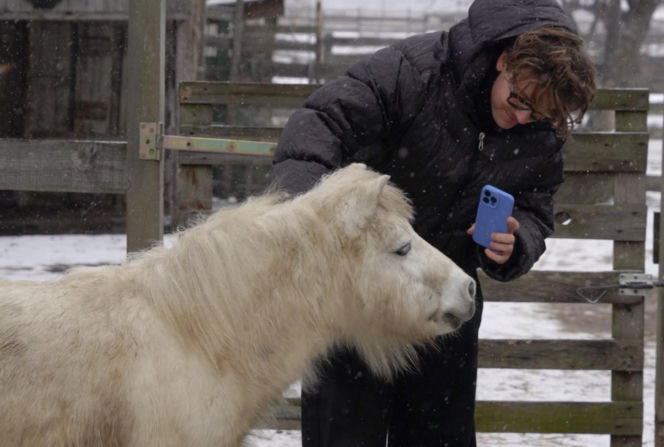 Joanna Krupa odwiedza schronisko dla zwierząt