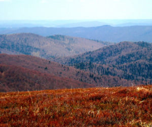 Bieszczady