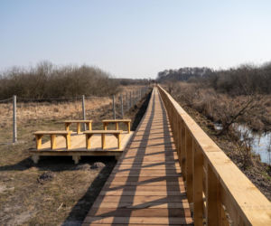 Wojewdztwo lubelskie z nową atrakcją. Spacer po bagnach bez zamoczenia butów