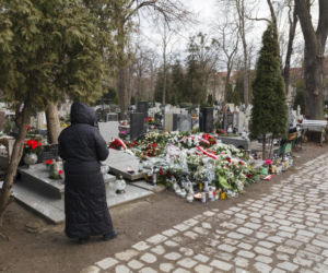 Grób Maciej Zięby