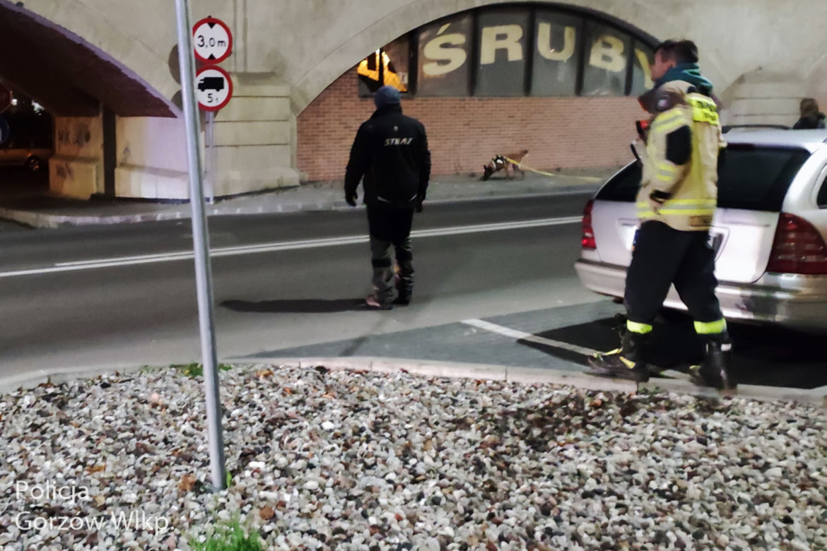 Poszukiwania zaginionego Marcina Jastrzębskiego. Policja przeczesuje cały Gorzów! [ZDJĘCIA]