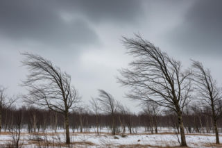 Jednak zima stulecia na przelomie roku? W prognozach pojawiły się mrozy -25 stopni Celsjusza. Jak się przygotować?