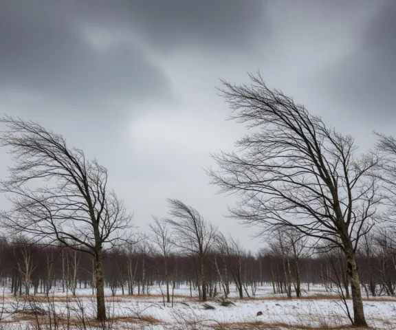 Jednak zima stulecia na przelomie roku? W prognozach pojawiły się mrozy -25 stopni Celsjusza. Jak się przygotować?