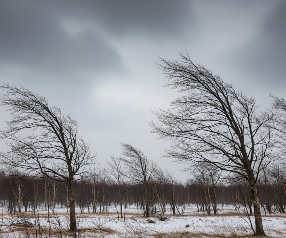 Pogoda w Suwałkach na wee.jpg