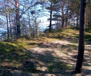 Rowerzyści kontra naturyści. Słynna naga plaża przestanie istnieć?