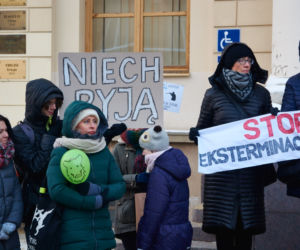 Lublin: Protest w obronie dzików. „Nie dla myśliwych”