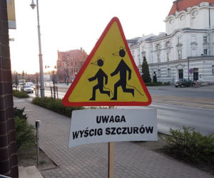 Dziwne znaki pod sądem i bankiem w Toruniu