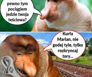Memy na Dzień Teściowej 2025 [GALERIA]