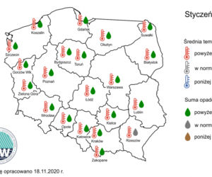 Jaka będzie zima 2020/2021? Czy spadnie śnieg? Prognozy są miażdżące. WAŻNY komunikat [PROGNOZA POGODY, MAPY, MIASTA, WOJEWÓDZTWA]