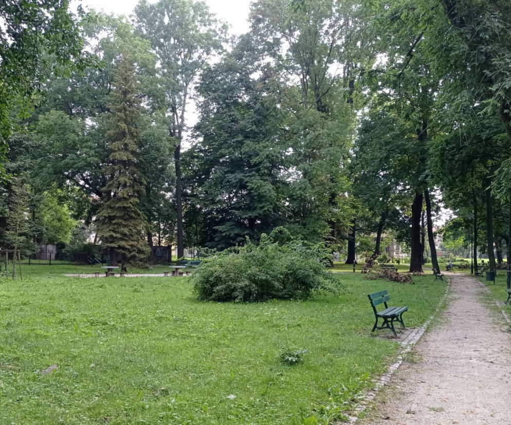 Park Rogozińskich