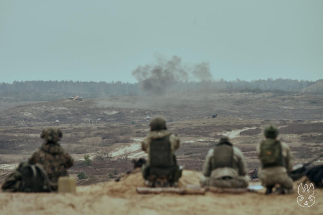 Polscy Terytorialsi szkolą żołnierzy z krajów nadbałtyckich