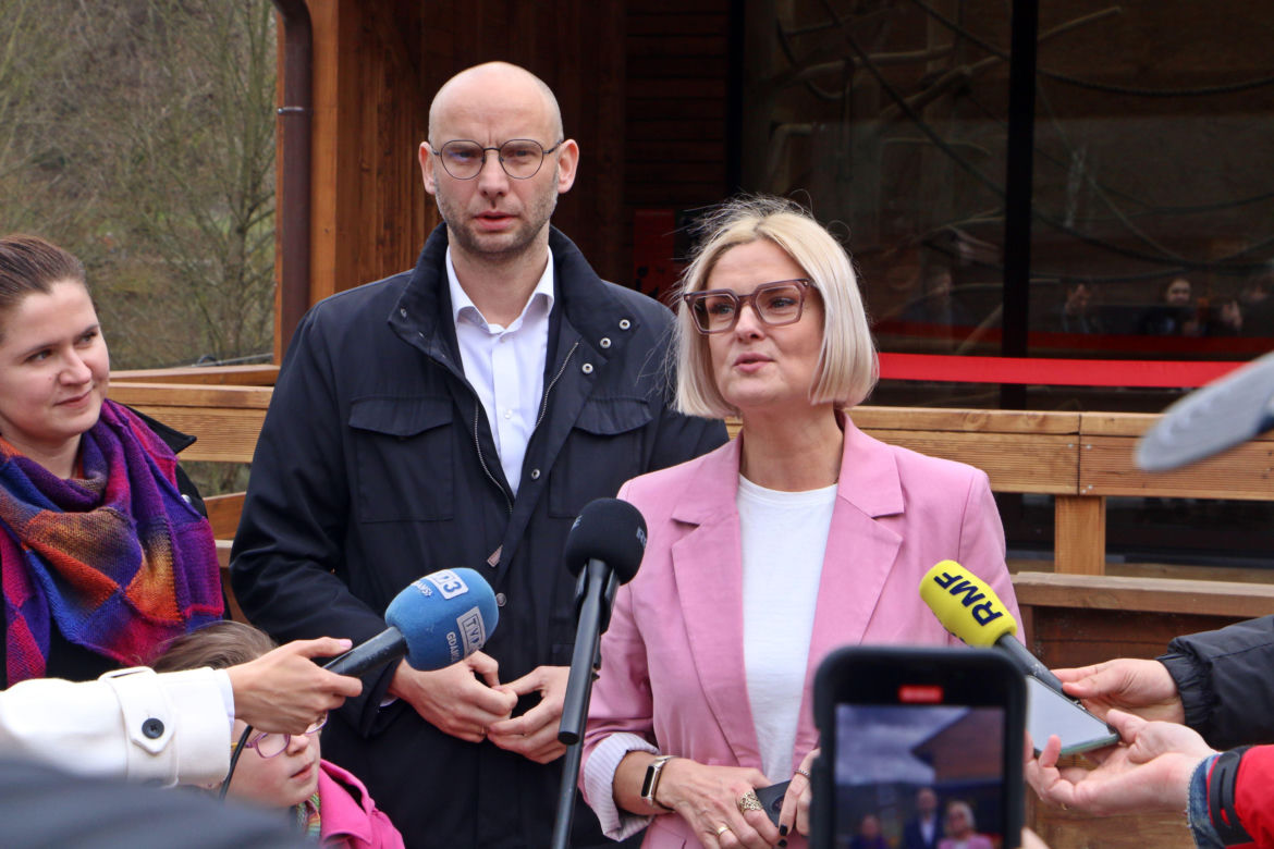 Lemury zamieszkały w gdańskim zoo