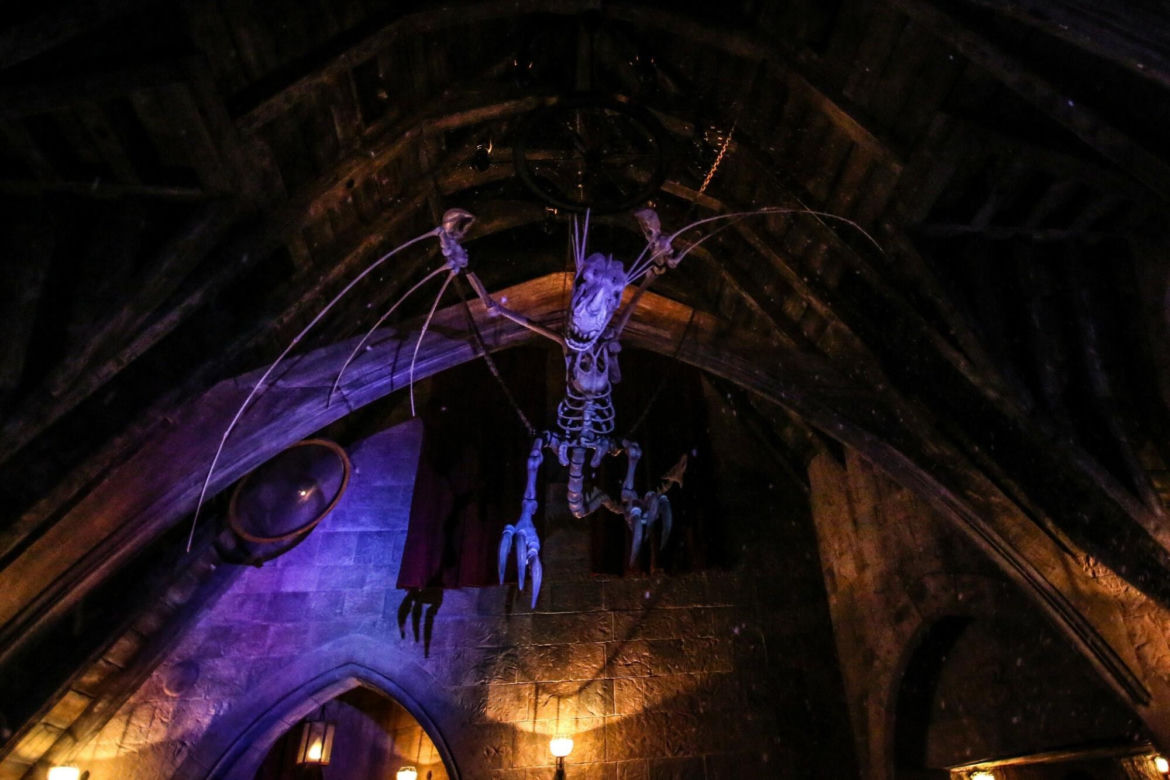 Harry Potter. Tak wygląda park dla fanów magii w USA. Każdy fan chciałby go odwiedzić!