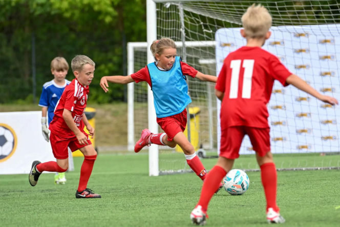 WINGS JAGA CUP 2026