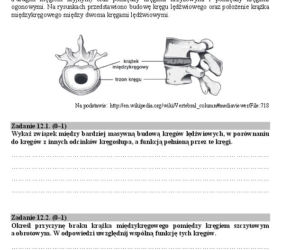Matura biologia12
