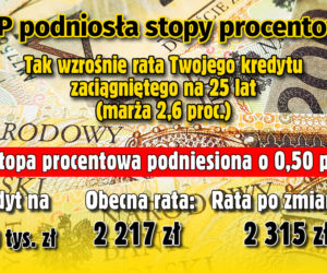 Stopy Procentowe 